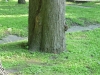 p1070002