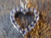 p1160433