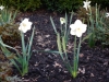 dscn0526