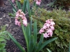 dscn0534