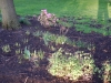 dscn0537