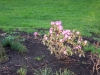 dscn0538