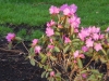 dscn0541