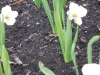 dscn0543