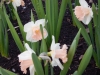 dscn0544