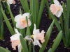 dscn0546