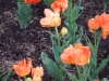 dscn0549