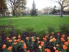 dscn0556
