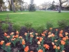 dscn0557
