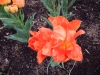 dscn0560