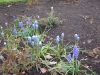 dscn0561