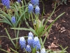 dscn0563