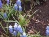dscn0564