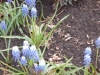 dscn0565