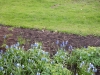 dscn0567