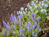 dscn0569
