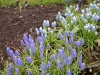 dscn0570