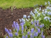 dscn0571