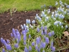 dscn0572
