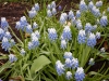 dscn0575