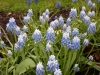 dscn0576