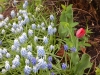 dscn0578
