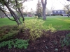 dscn0586