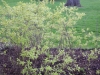 dscn0587