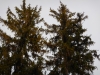 dscn0590