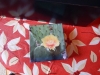 dscn0373