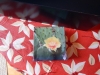 dscn0374
