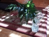 dscn0272