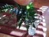 dscn0277