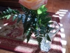 dscn0278