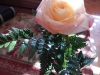 dscn0279