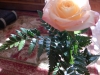 dscn0280