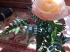 dscn0281