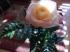 dscn0282