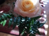 dscn0283