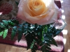 dscn0284