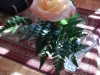 dscn0285