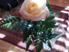 dscn0286