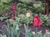 dscn0594
