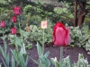 dscn0597