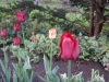 dscn0599