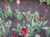 dscn0600