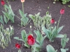 dscn0601