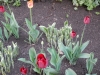 dscn0603