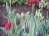 dscn0604