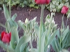 dscn0605